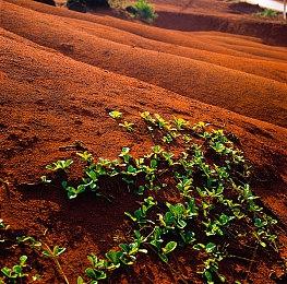 杰洛特乱入 《失落的方舟》联动《巫师》活动开启